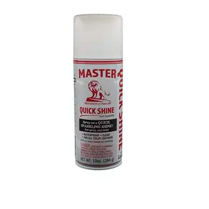 Master Quick Shine | Instant Shoe Polish Spray (10 oz)