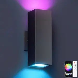 Outdoor Wall Lights RGBCW Color Changing, Modern  Outdoor Sconce Up and Down Lighting, Exterior Light Fixture for House Porch Garage, Compatible with Alexa, ETL Listed
