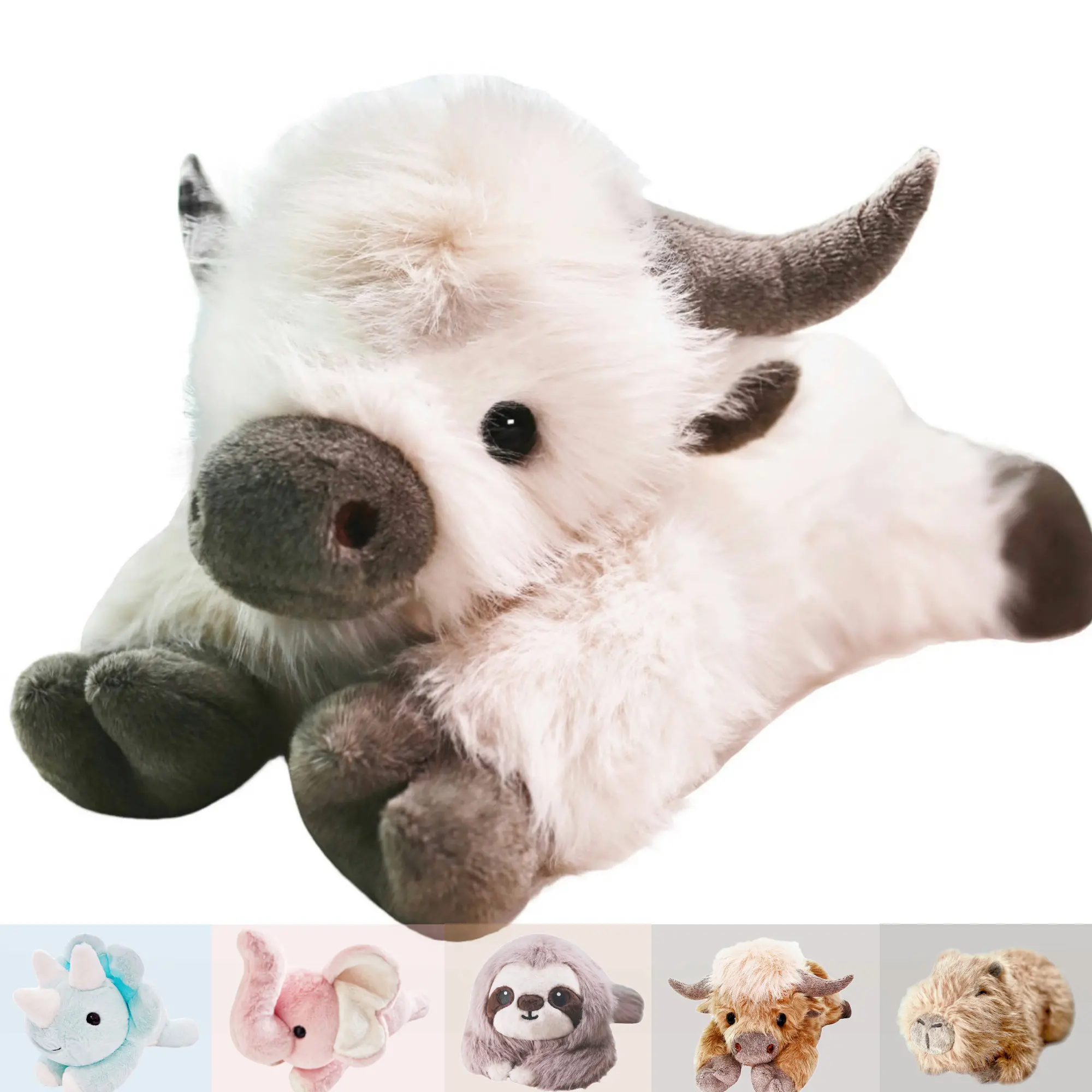 Highland Cow - White