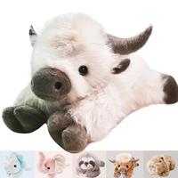 Highland Cow - White