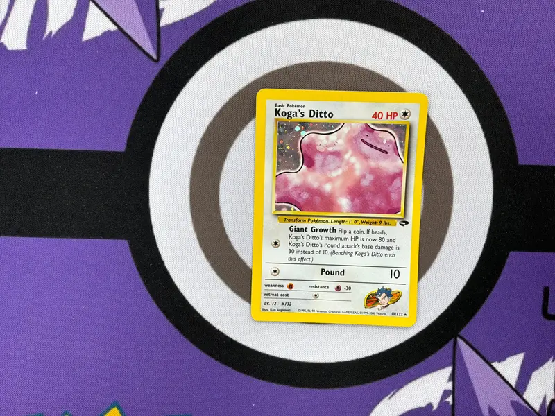 ditto pokmon go card - TikTok Shop ditto pokmon go card - TikTok Shop