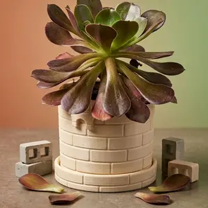"Bricked Up" 4-in Window Suction Planter