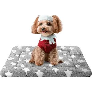 Dog Bed Mat, Reversible Crate Pad & Cute Dog Bed - Machine Washable Kennel Mat with Ultra Soft for Small Dogs (Cool/Warm), 24" x 18", Grey&Star
