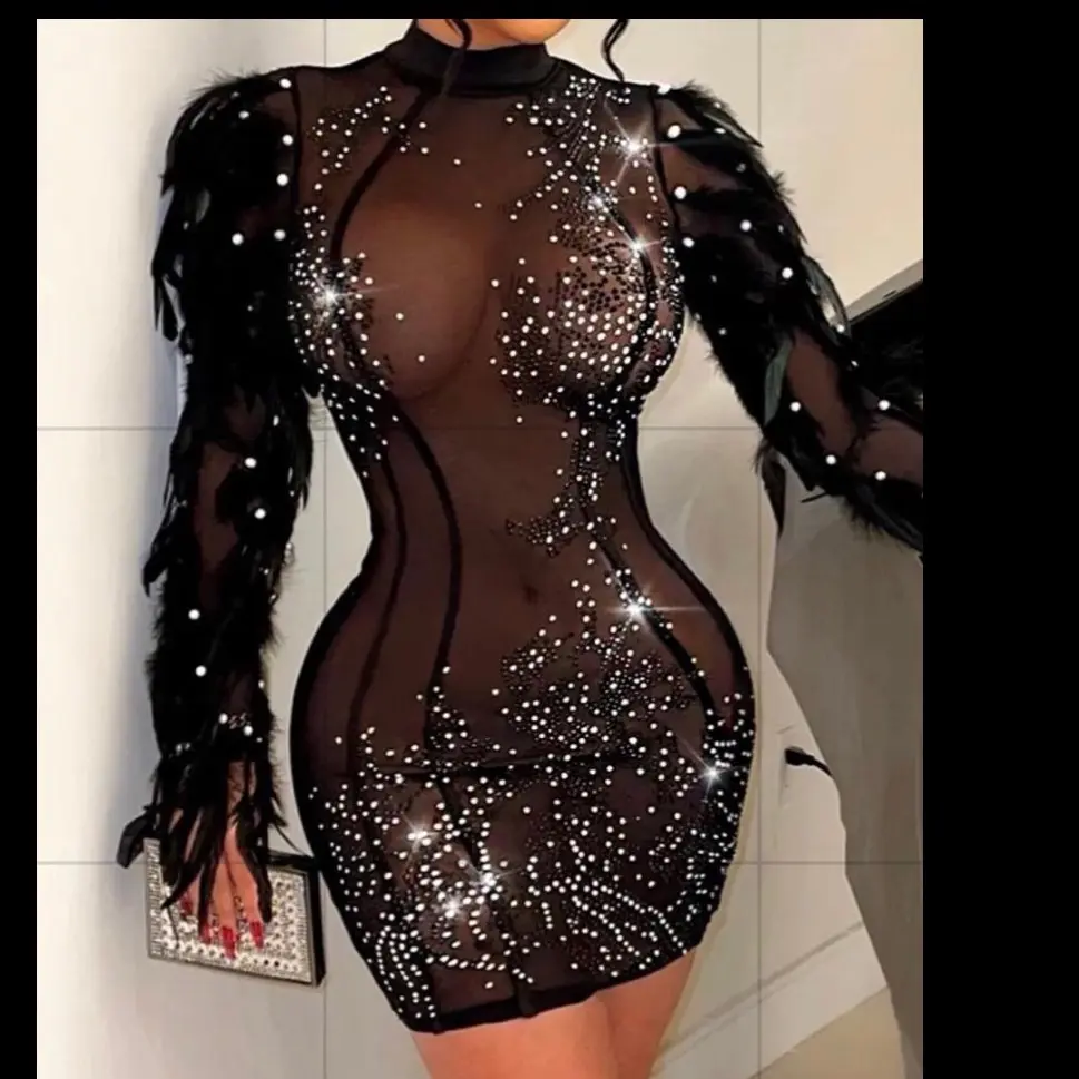 Gala Transparent Mesh Dress with Rhinestone and Feather Accents