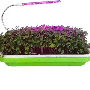 Somewhere That's Green Microgreens Grow Kit That Includes Full Tray System, Soil, Seeds, Grow Light and Humidity Dome