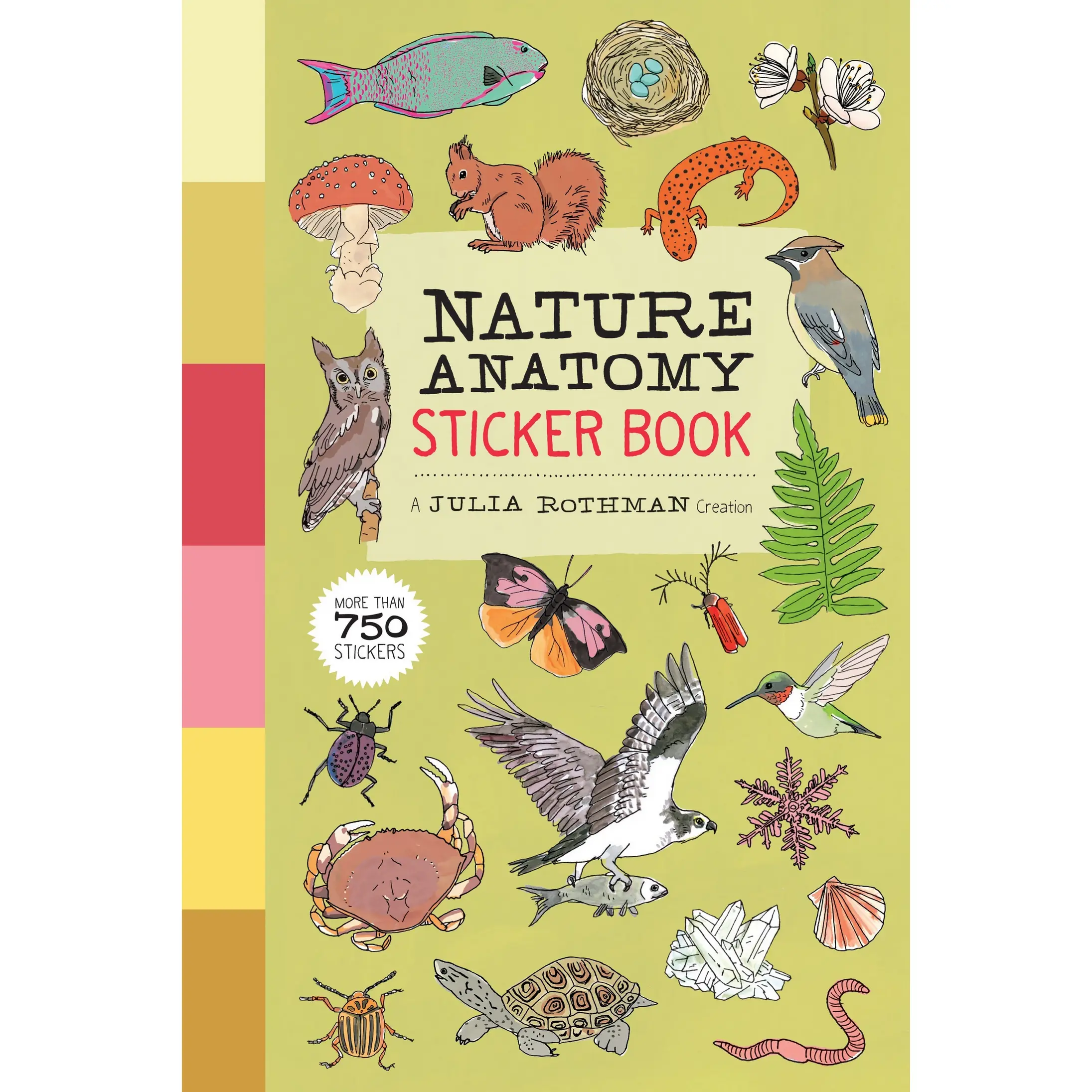 Nature Anatomy Sticker Book by Julia Rothman [Paperback Book]