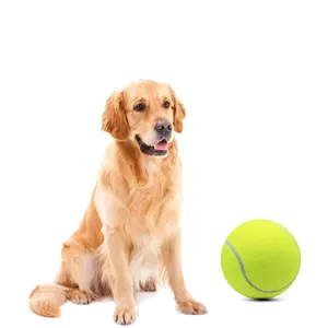Magicorange 1 Pack 6inch Oversize Giant Tennis Ball Dog Tennis Ball Large Pet Chew Toy for Outdoor/Indoor Sports Dog Ball Gift with Needle (Yellow 6inch)