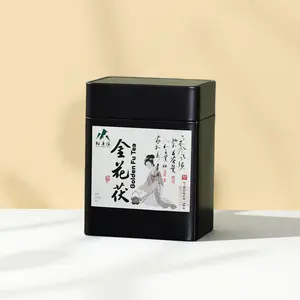 2013 Golden Fu Brick Tea (200g) Aged 10+ Years – Rare & Mellow Dark Tea from Hunan