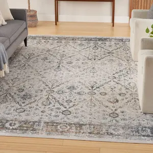 Nourison Astra Machine Washable Traditional Vintage Indoor Flatweave Rug