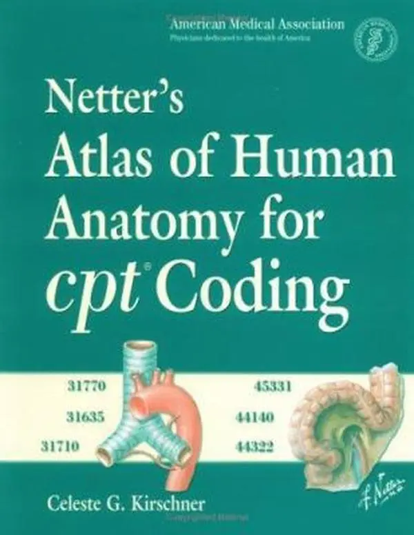 USED-Netter's Atlas of Human Anatomy for CPT Coding by AMA American Medical Association (Paperback)