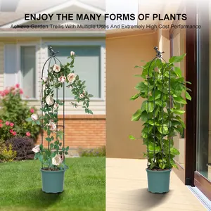 Trellis for Climbing Plants Outdoor Garden Trellis 59inch Rustproof Trellis for Climbing Plants Outdoor Obelisk Trellis Rose Trellis Plant Trellis Indoor Flowers Vegetable Fruits Vines Support