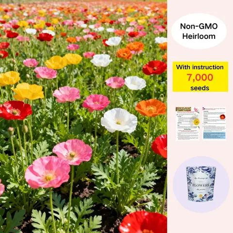 Poppy Seeds Mixed Blend - 7,000 Seeds, Bright Papaver Colors, Easy Gardening, Backyard Borders, Sunny Patios, Cottage-Style Blooms, Pots & Patio Ready