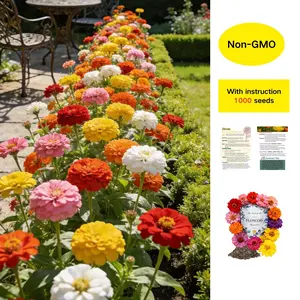 Zinnia Seeds Pack for 2026 – 800 Non GMO Flower Seeds | Vibrant Zinnia Elegans for Pollinator Gardens, Borders & Containers | Easy-to-Grow Outdoor Blooms, Zinnia Seed Mix
