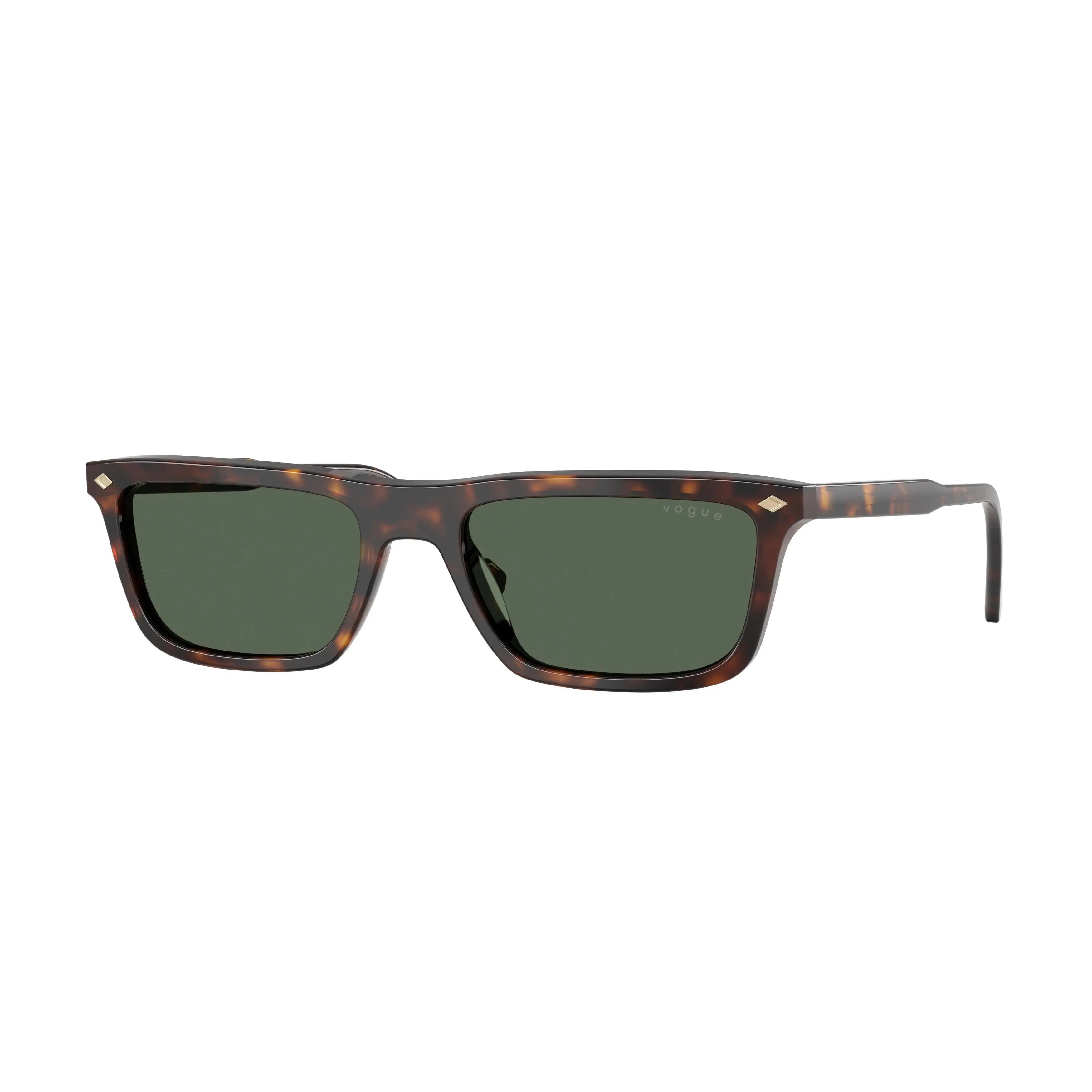 Vogue 5687S Sunglasses