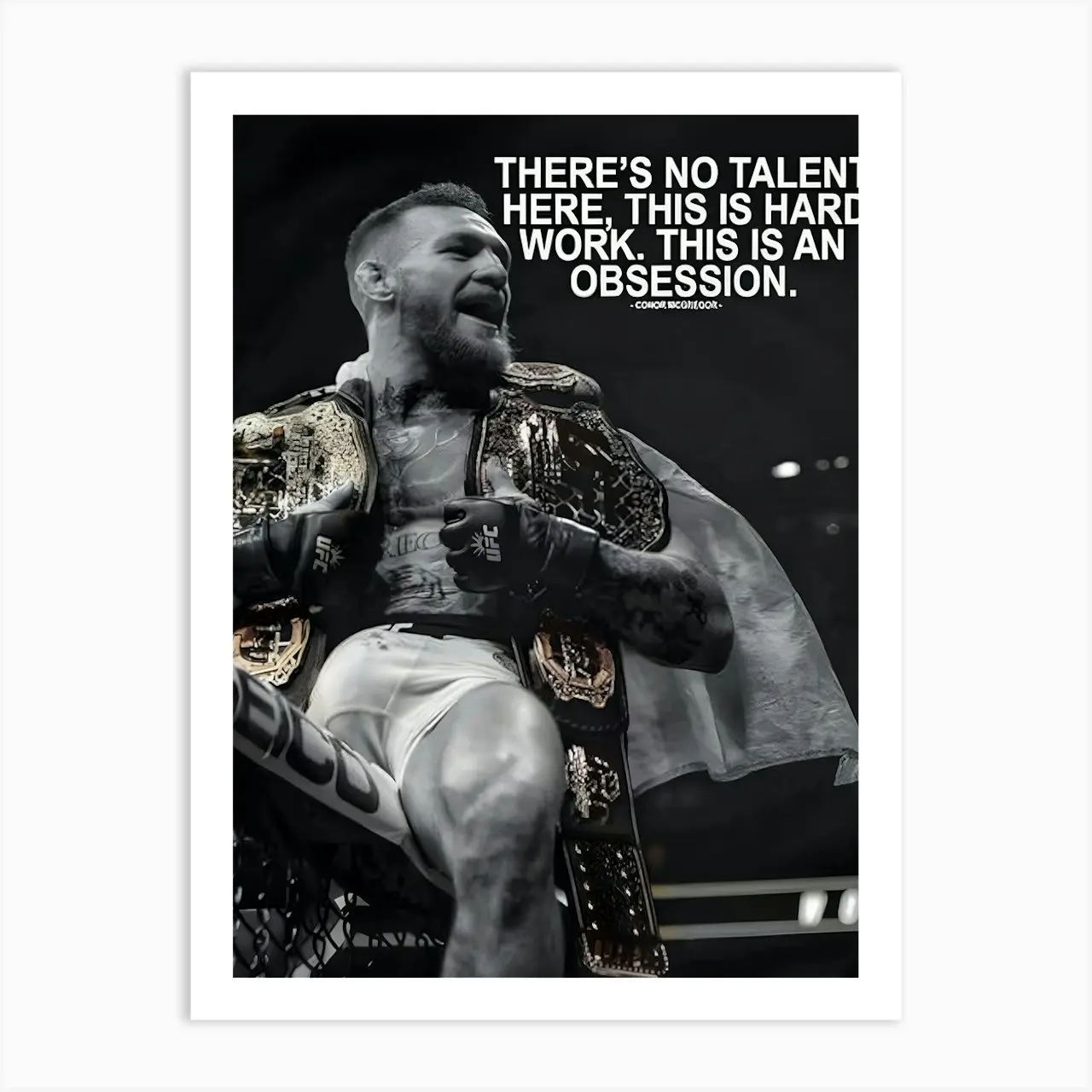 Conor Mcgregor Boxing Pop Art Print Poster
