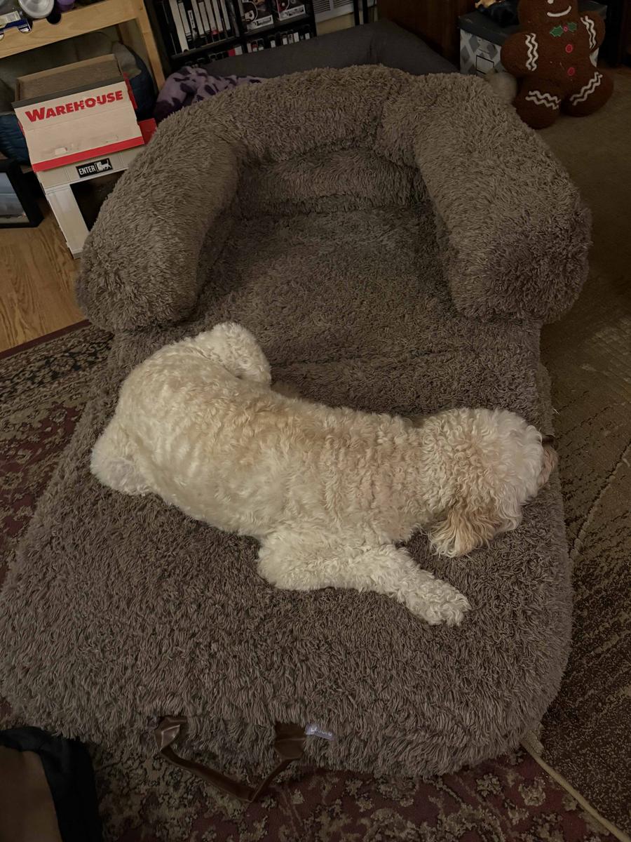 Item: 3-in-1 Flexible Camel(68x44x12)