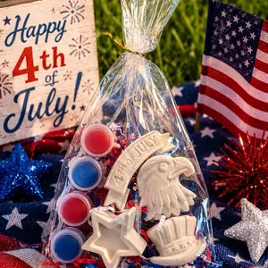 4th of July plaster painting kit