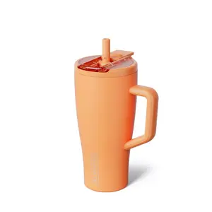 BruMate 30fl oz Stainless Steel Era Flip Water Bottle Peach