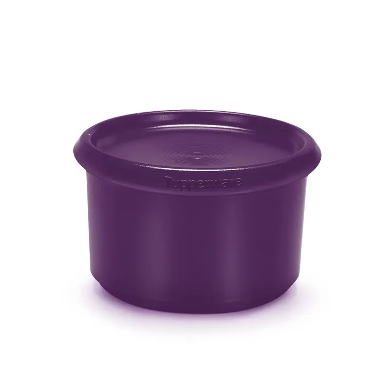 Tupperware Mini Container 575ml One Touch Close Lid by Tupperware