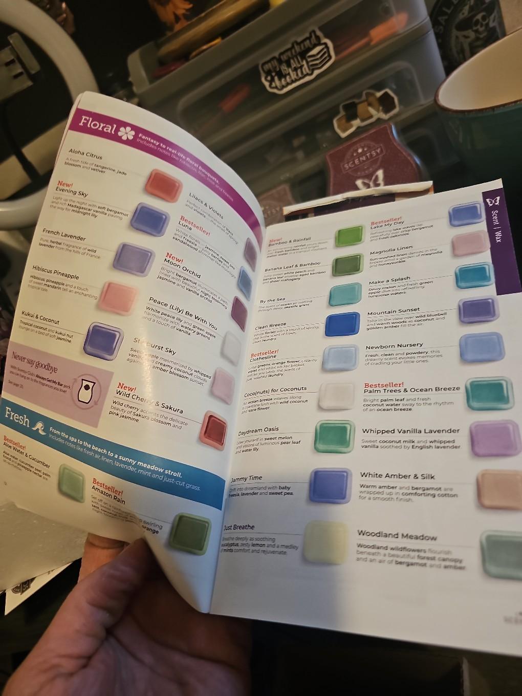 Scentsy Wax Melts for Wax Warmer - House Sprays, Laundry Soap, and More - Candle, Decor