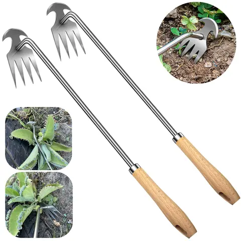 16 in Hand Weeder Tool (2-Pack) - 4-Teeth Stainless Steel Smooth Glide Tines, Ergonomic Wooden Handle Design, Rust-Resistant for Effortless Thistle & Crabgrass Removal on Farms for Gardeners