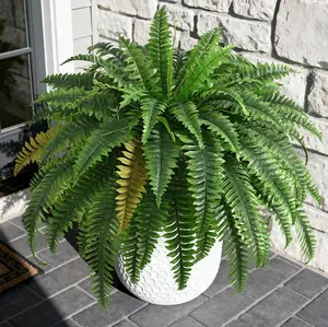 Nearly Natural Large Hanging Boston Fern Artificial Plants (Set of 2), 67-Long Realistic Fronds, Maintenance-Free Faux Plants for Home Decor, Room Decor, Office Use