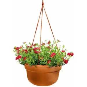 Bloem 12in Dura Cotta Hanging Basket Terra Cotta DCHB12-46