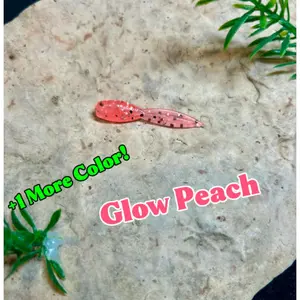 1.75" Baby Tadpole - 20 Pack - 3 Colors To Choose From