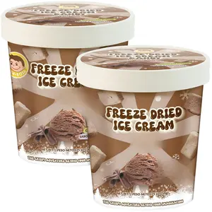 JOSH BOSH Chocolate Freeze-Dried Ice Cream Candy 2-Pack – Crunchy Airy Snack Made with Real Chocolate Ice Cream, 1.75 Oz Ea Sweet No Freezer