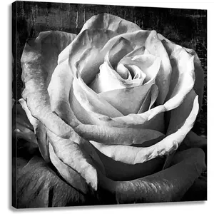 Bathroom Rose Picture Wall Art Black and White Floral Print on Canvas for Girl Powder Room Bedroom Decor 12 x 12 Flower Poster Artistic Ornaments Photo Decoration