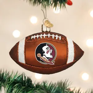 Florida State Football