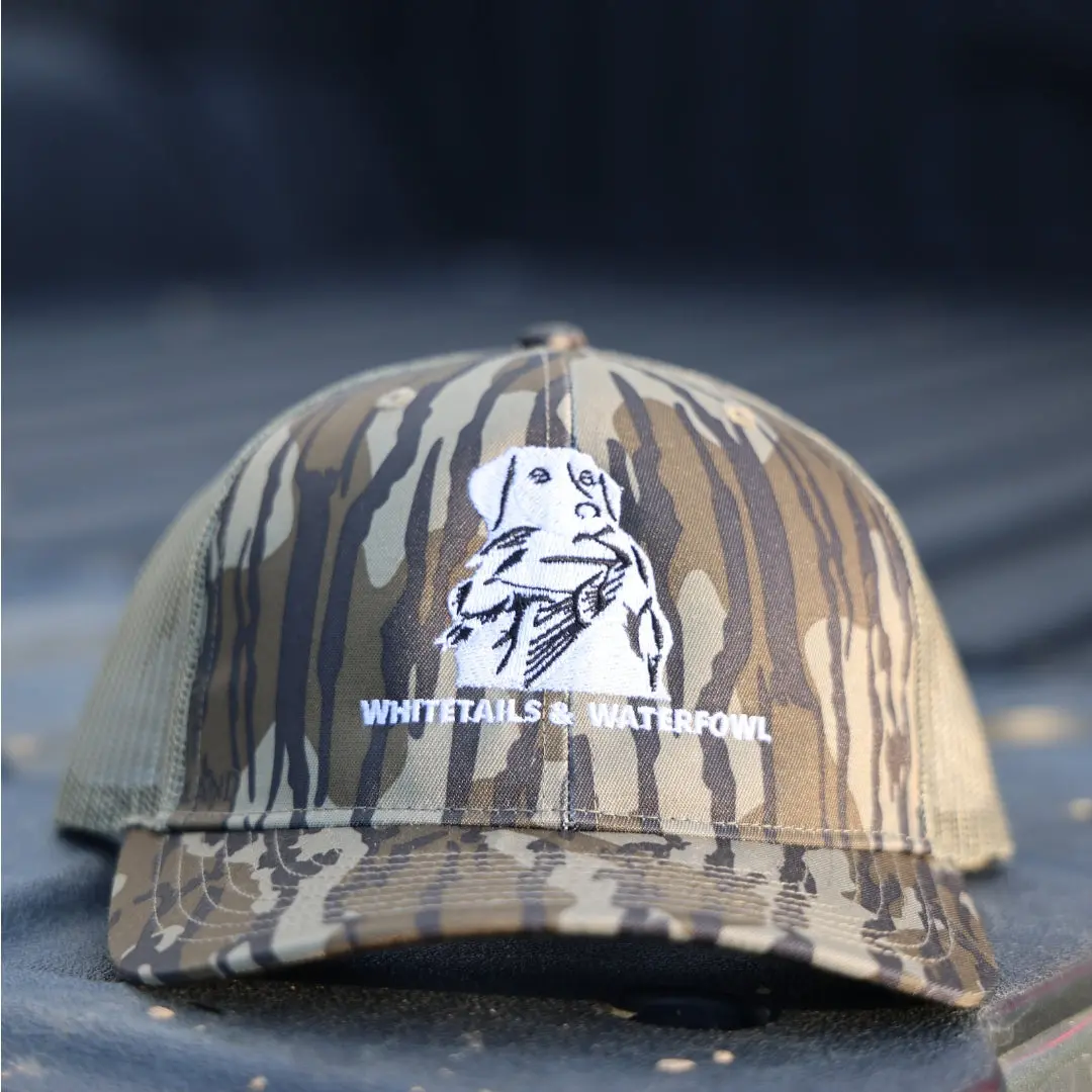 Bird Dog Snapback Hat (6 Color Options)