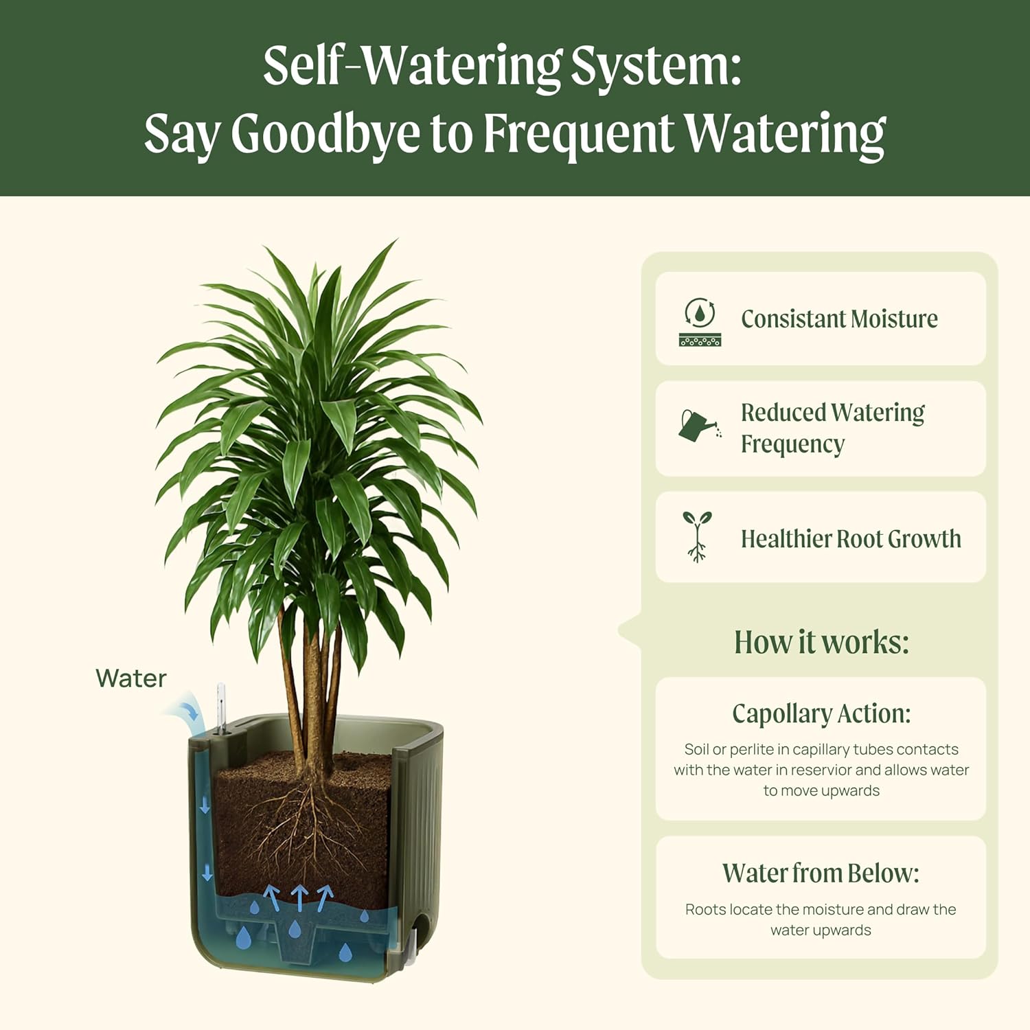 Vego Garden Self-Watering Pots for Indoor Plants with Built-In Water Gauge & Rolling Casters - Modern Decorative Planters for Beginners & Easy Care