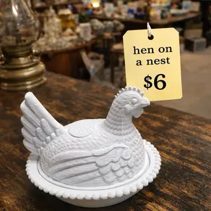 Hen on a Nest