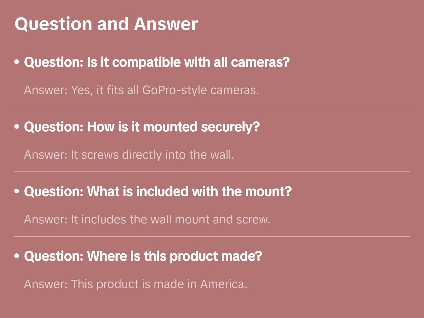 Action Camera Storage Wall Mount