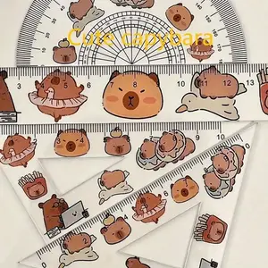 Transparent Plastic Water Pig Ruler Set, Test Drawing Four-Piece Ruler Set, Transparent Plastic Triangular Board, School Supplies