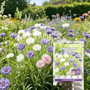 500 Pcs Mixed Cornflower Seeds, Perennial Low-Maintenance Centaurea Cyanus Flower Seeds, Beautiful Rustic Blooms, Pollinator Attracting Ornamental Seeds for Home Garden Yard Outdoor Planting