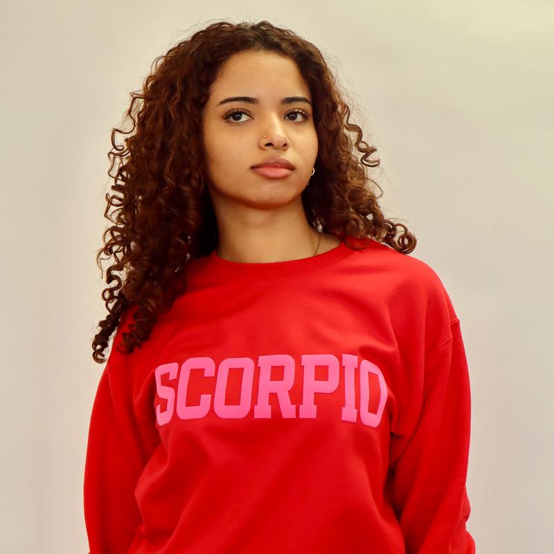 Sweatshirt: Red/Pink Combo Puff Print (Limited Edition) Astrology Apparel