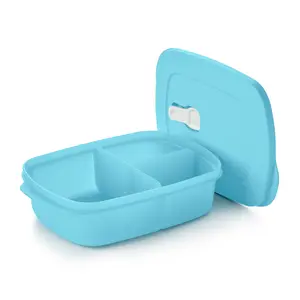 Tupperware Crystalwave Rectangular Divided Dish with Stain-Guard