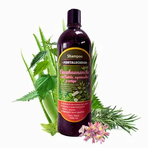 Anti-Hair Fall Strengthening Shampoo with Cacahuananche, Aloe, Espinosilla & Nettle | Supports Fuller-Looking Hair, Shine & Softness