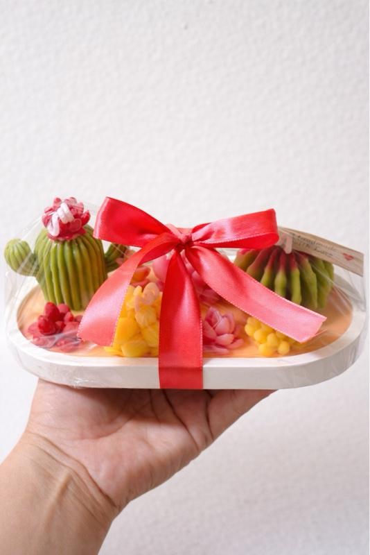 Vela Decorativa Artesanal de Cactus y suculentas Regalo Elegante y Aromático