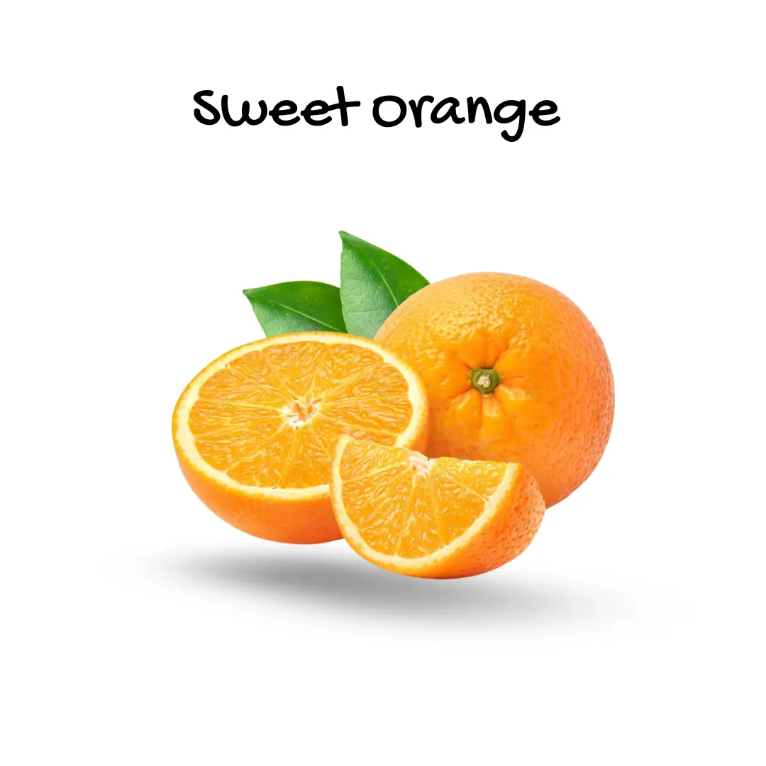 Sweet Orange