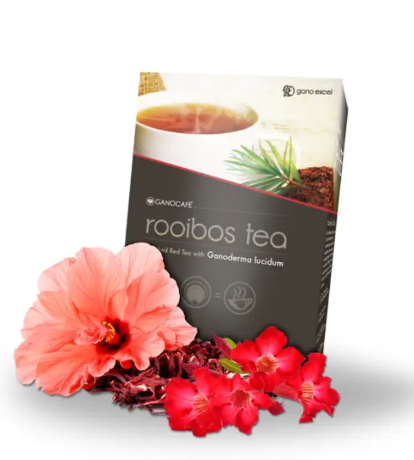 GanoExcel Mushroom Rooibos Tea 40g - Rich Red Tea with Ganoderma Lucidum for Health