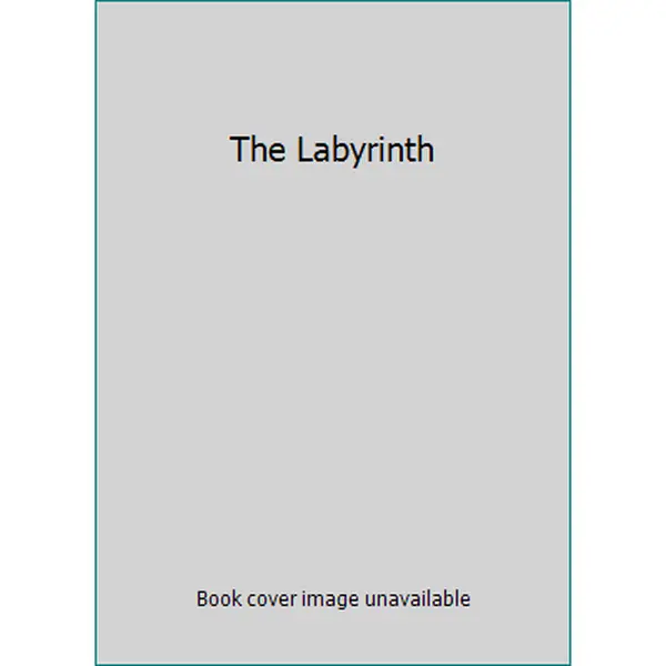 Used Fiction Novel - The Labyrinth by Bertina De Sisto (Unknown Binding), Fiction Books