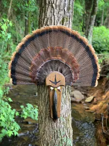 Turkey Fan Plaque Turkey Fan Plaque
