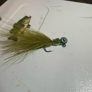 Bassy jig