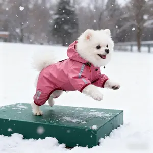 Windproof Dog Jacket - Cold Weather Warm PVC/Polyester Raincoat Coat - with Snap Button/Hook-and-Loop Closure for Small Medium Large Dogs - Puppy Apparel for Wet/Cold Conditions, 4 Colors (XS/S/M/)