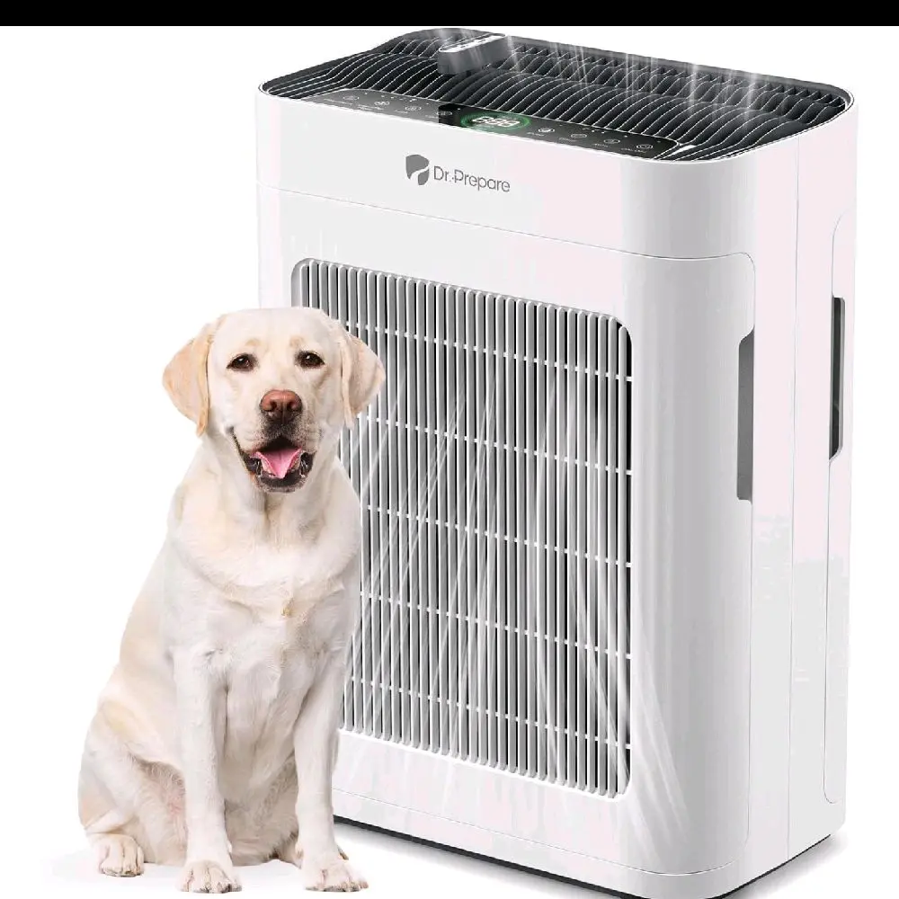 Large room air purifier 3000ft2