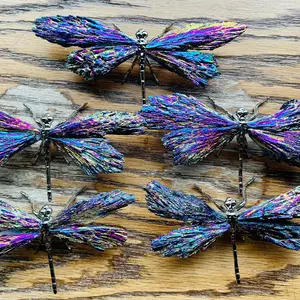 Gorgeous Rainbow Insigo Aura Black Kyanite Dragonfly