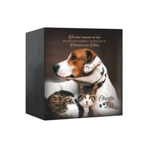 Pet Cremation Personalized Pet Memorial Gift Shadow Box Urn Gift for Dogs and Cats Sympathy Gift for Pet Lovers | Because Someone We Love House Decor